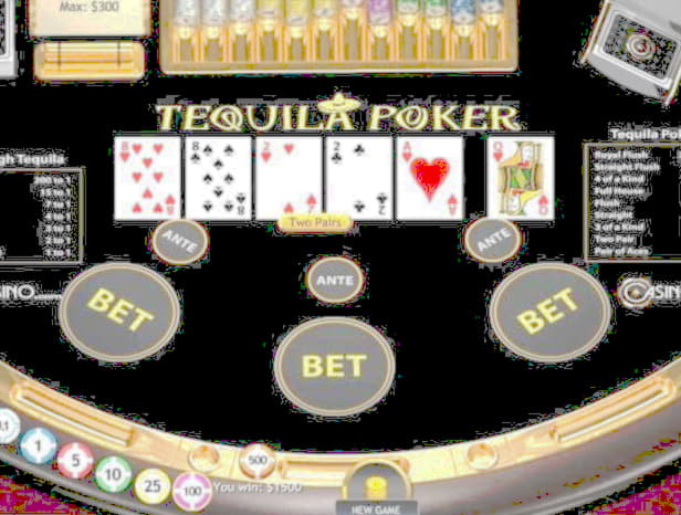 265 Europa Casino でのデポジットなしのフリースピン