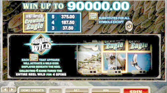 €445 Mobile freeroll slot tournament at Hippozino Casino